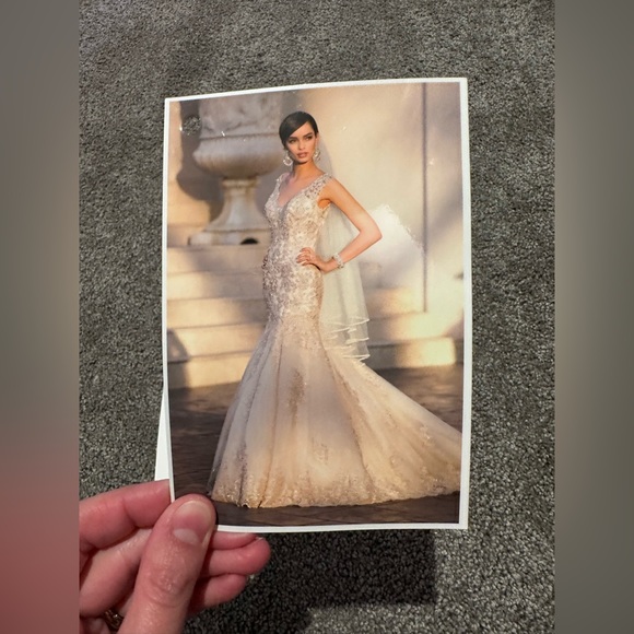 NWT Stella York 5922 Beaded Lace Ivory Backless Wedding Dress, size 4 - Picture 11 of 11